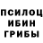 Галлюциногенные грибы Magic Shrooms Nickol Nikolsci