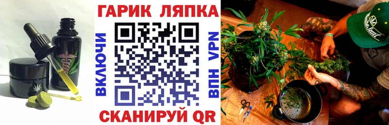 как найти закладки  Лаишево  маркетплейс наркотические препараты  Печенье с ТГК марихуана  ОМГ ОМГ ONION 