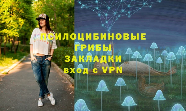 a pvp Ростов